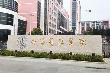 山东大学齐鲁医学院招生简章